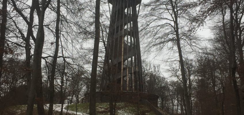 Les beaux postes d’observation à Lausanne : 1/ La tour de Sauvabelin